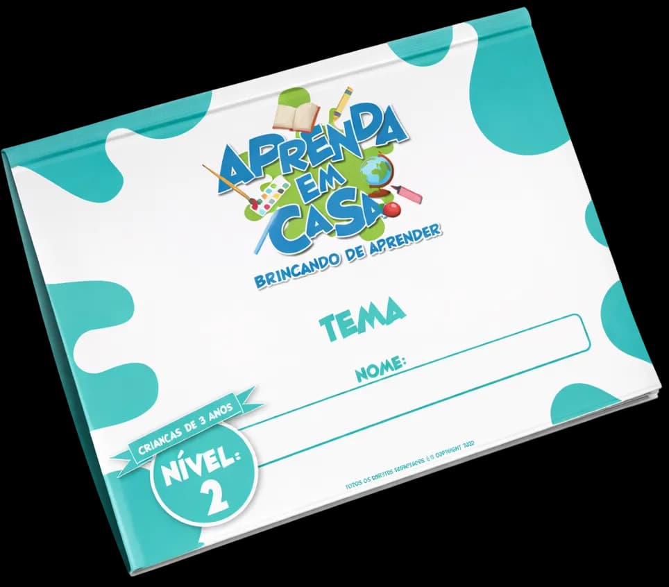 Apostila Nível 2