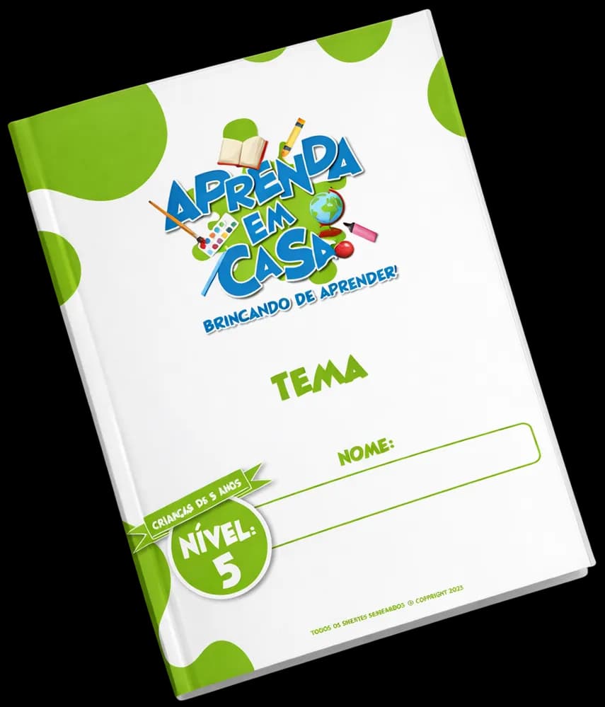 Apostila Nível 5