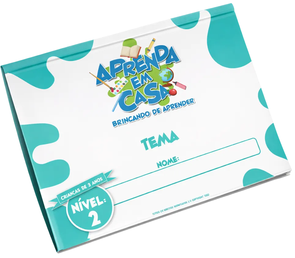 Apostila Nível 2